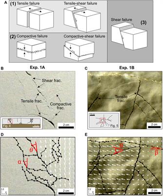 Patterns and Failure Modes of Fractures Resulting From Forced Folding of Cohesive Caprocks – Comparison of 2D vs. 3D and Single-vs. Multi-Layered Analog Experiments